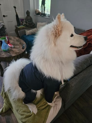 Customer photo review of Nylon Coverall