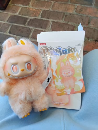Customer photo review of Pop Mart Labubu The Monsters Big into Energy Series Vinyl Plush Pendant Single Blind Box