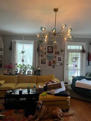 Customer photo review of 15-Light Branch Blue Glass Globe Bubble Chandelier