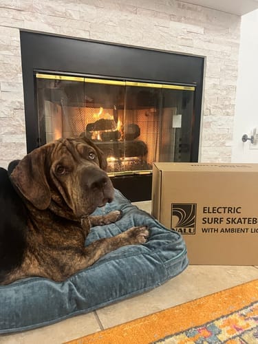 Customer photo review of Backfire Nalu Electric Skateboard with R5s Remote