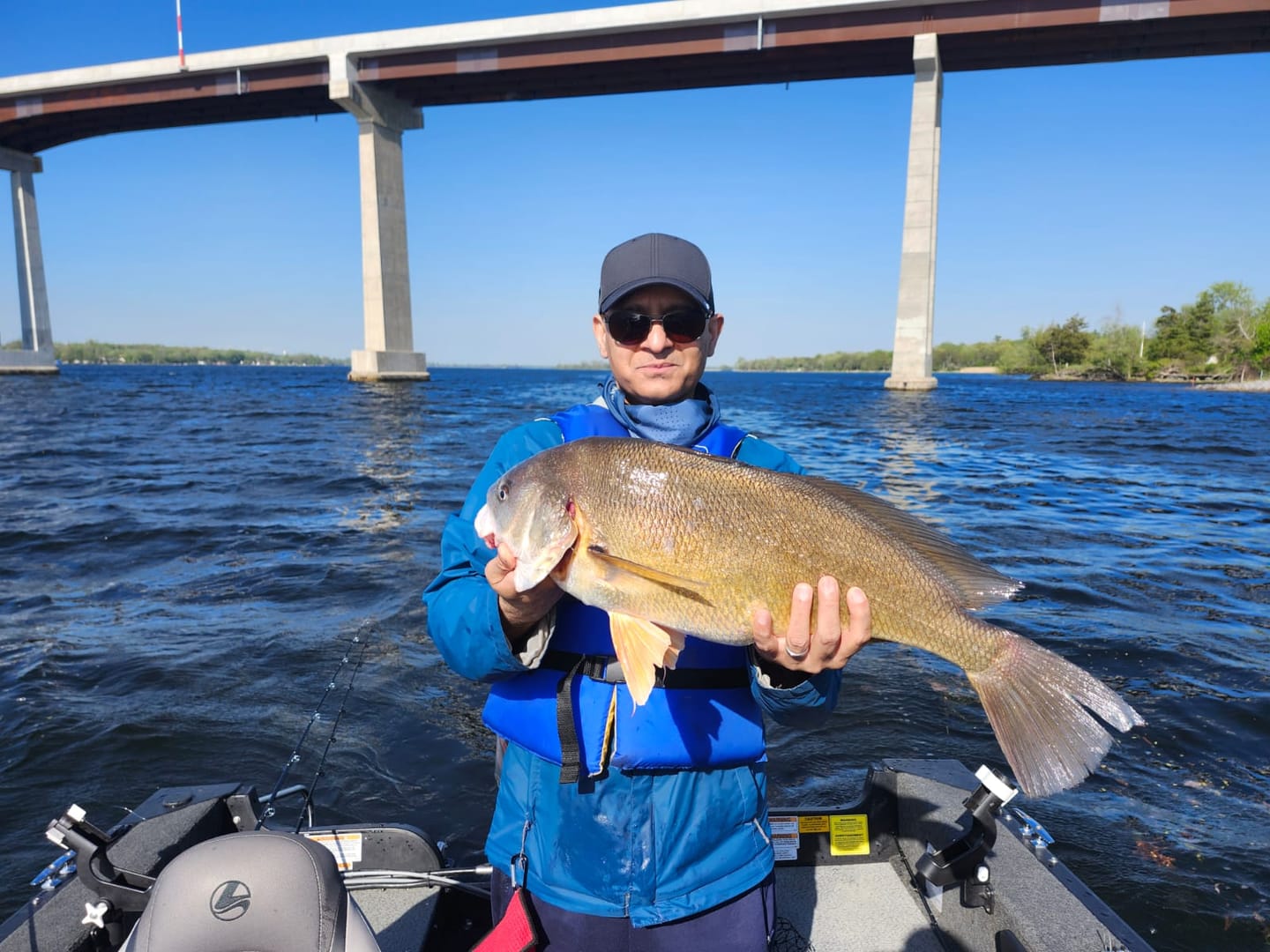 Customer photo review of Scuttletail™
