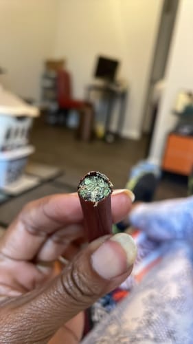 Customer photo review of FREE SAMPLE (with code) THCa Flower