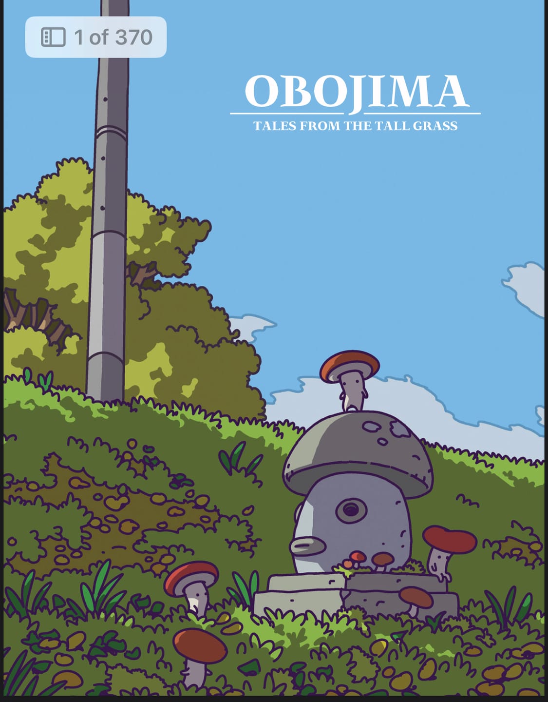 Customer photo review of Obojima PDF (Instant Download)