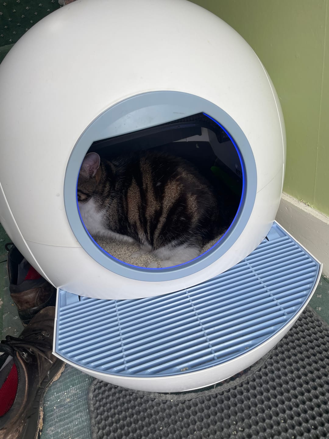 Customer photo review of Replaceable Accessories for ELS PET Cat Litter Box