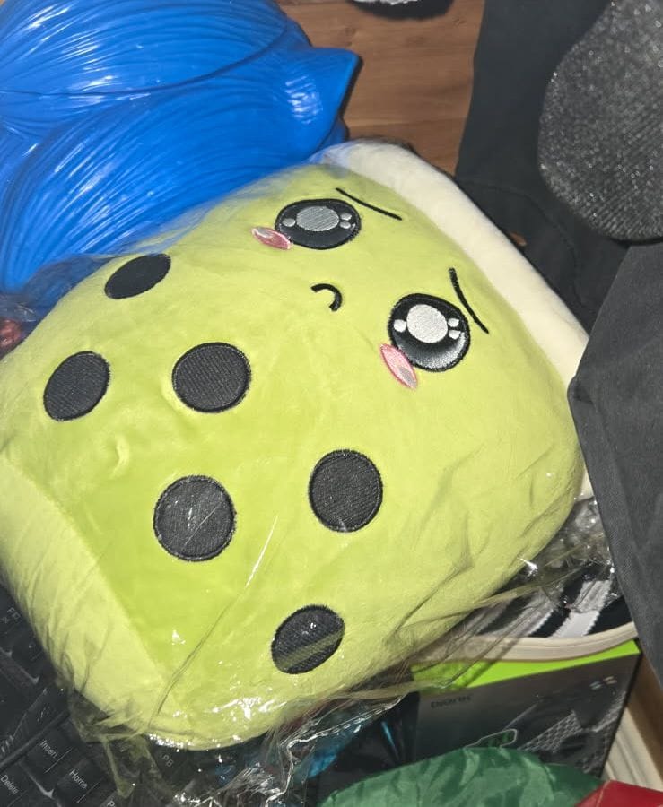 Customer photo review of Taro and Matcha Boba Plushie