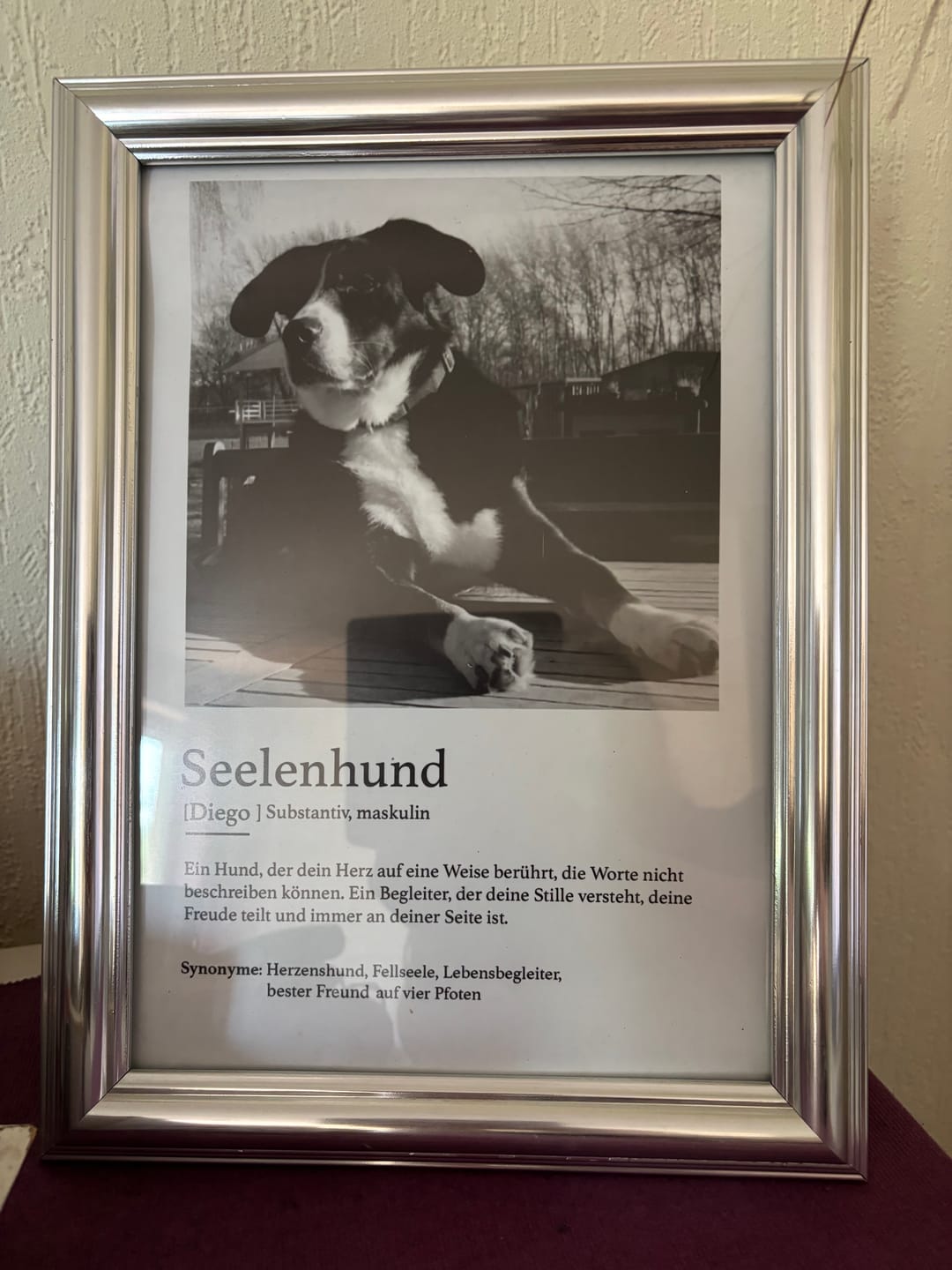 Customer photo review of Definition Seelentier - Individuelles Poster