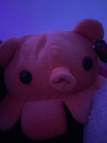 Customer photo review of Fisch - Dumbo Octopus Plushie
