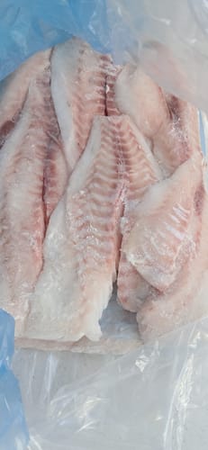 Customer photo review of 5KG Snapper Fillets (Skinned and Boned) Frozen