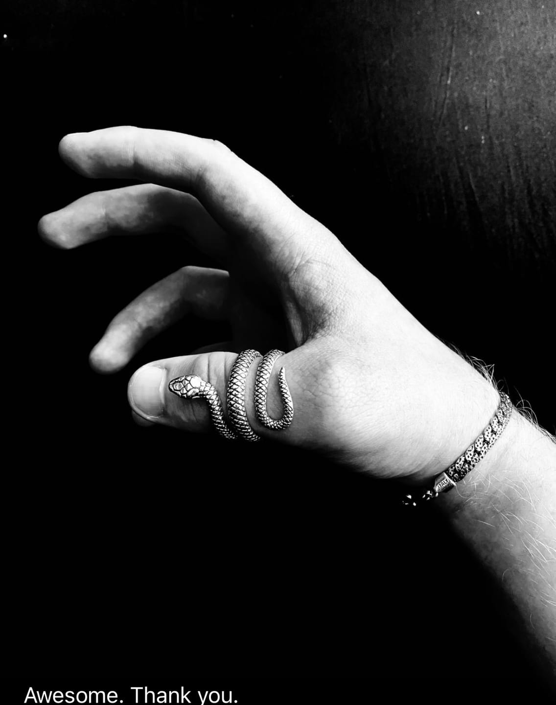 Customer photo review of SERPENT - 925 STERLING SILVER