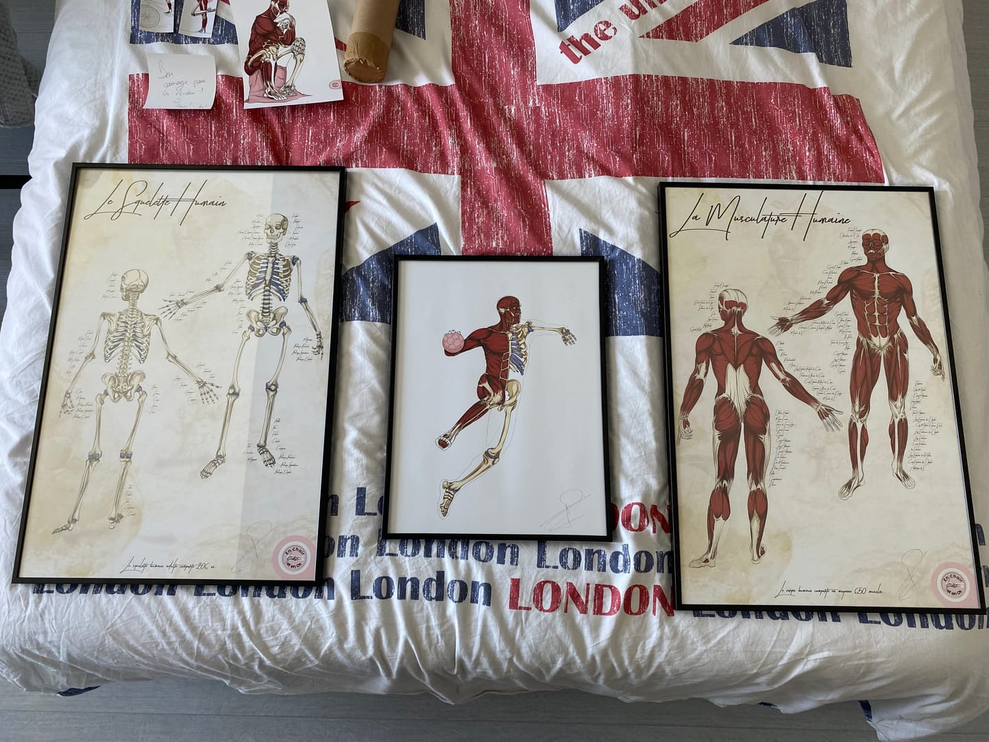Customer photo review of Pack planches anatomiques basiques