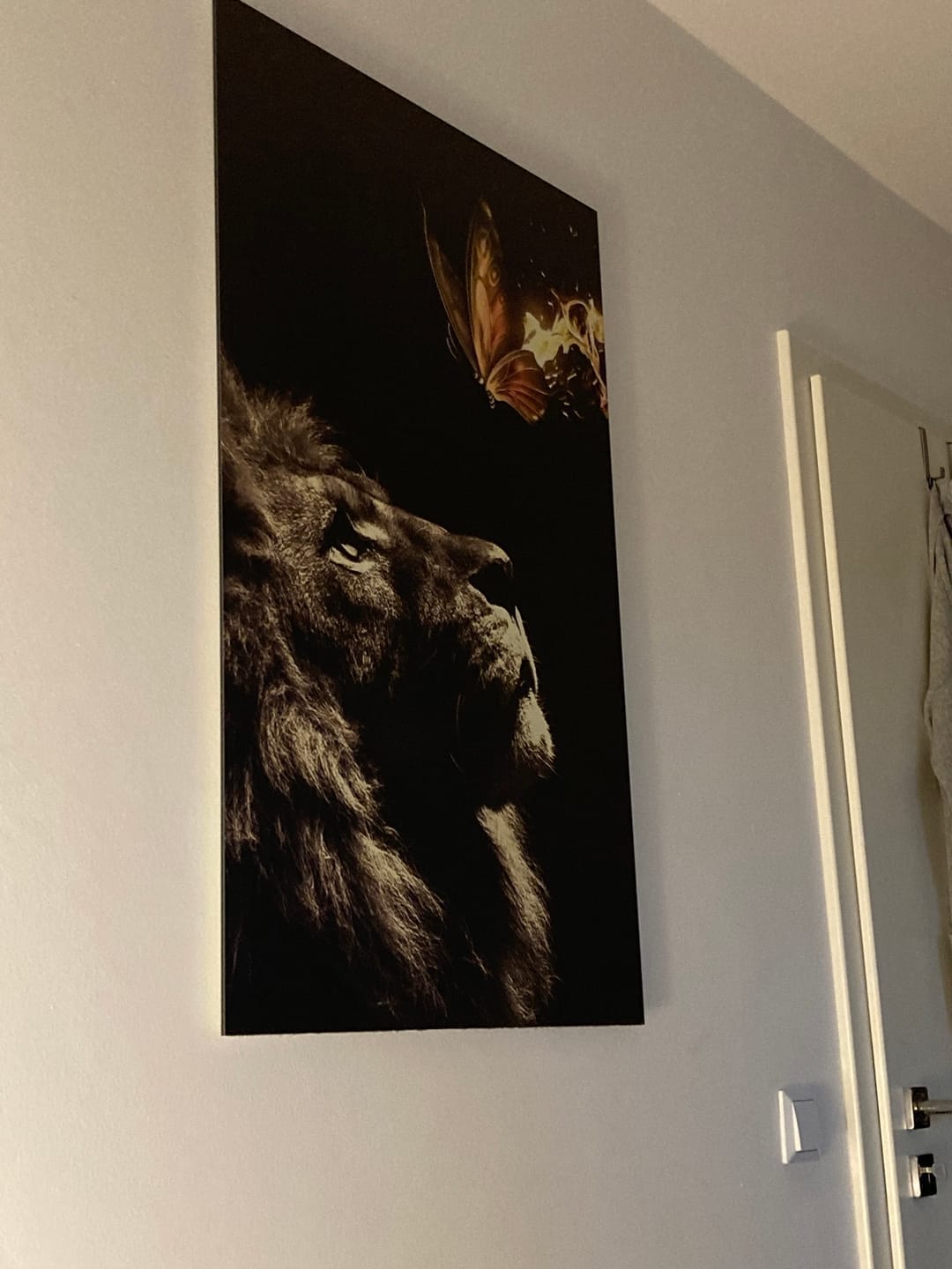 Customer photo review of Lion Burning Butterfly