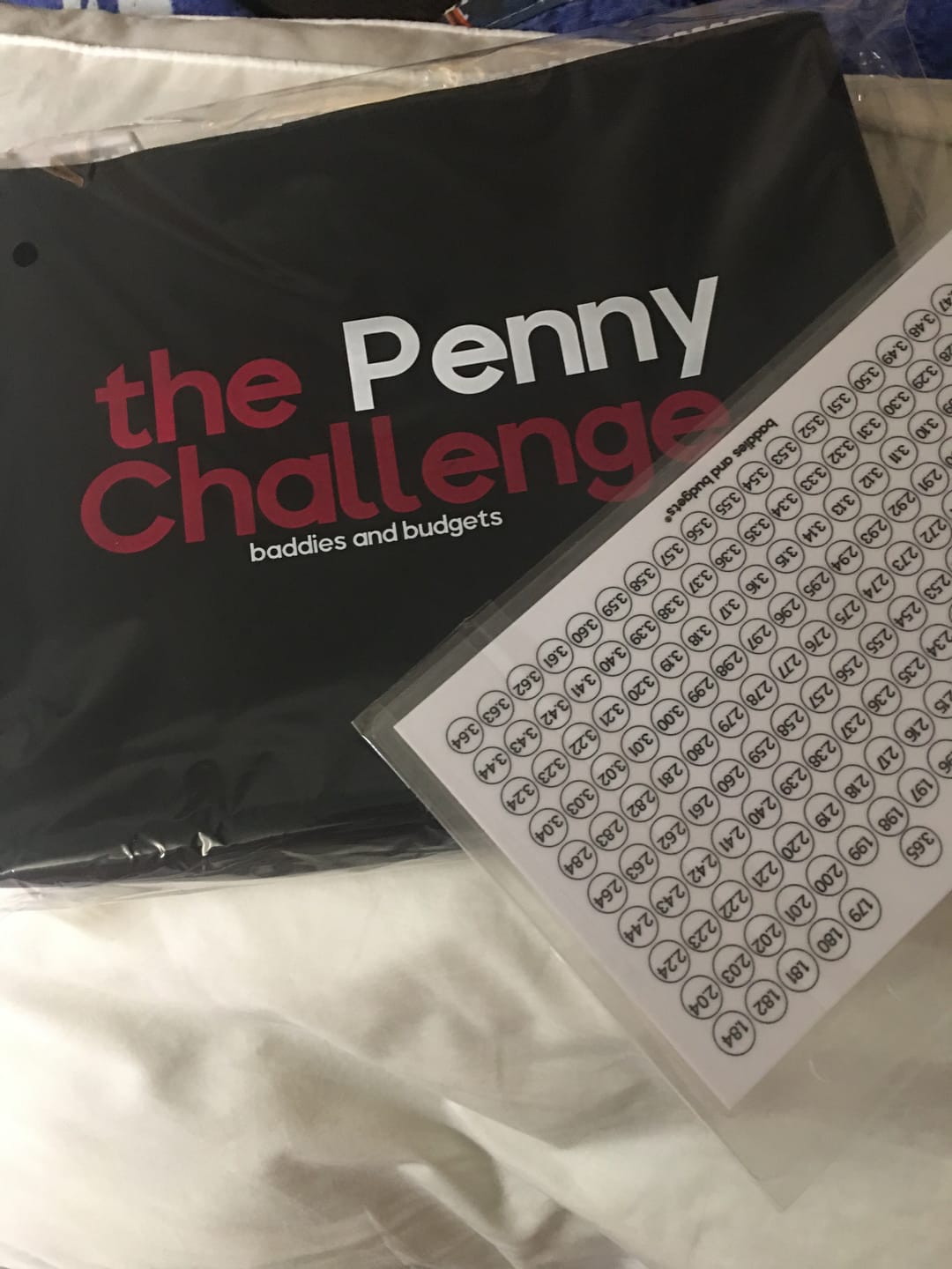 Customer photo review of The Penny Challenge