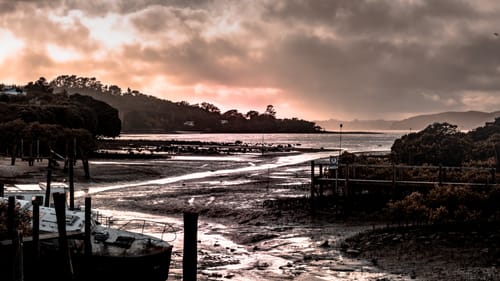 Customer photo review of The 2025 Complete Photoshop and Lightroom Bundle for only $37 with Code: SAVE50