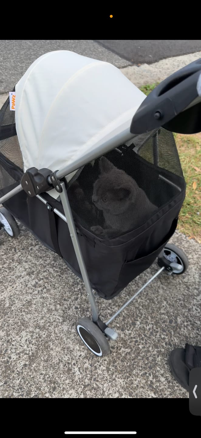 Customer photo review of Pawz Compact & Comfortable Pet Stroller