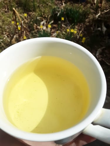 Customer photo review of 22 Tea Samples With Teapot