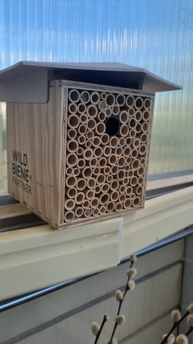 Customer photo review of BeeHome One