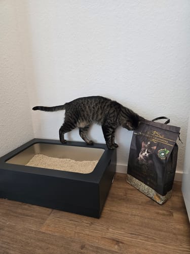 Customer photo review of Naturreines Katzenstreu