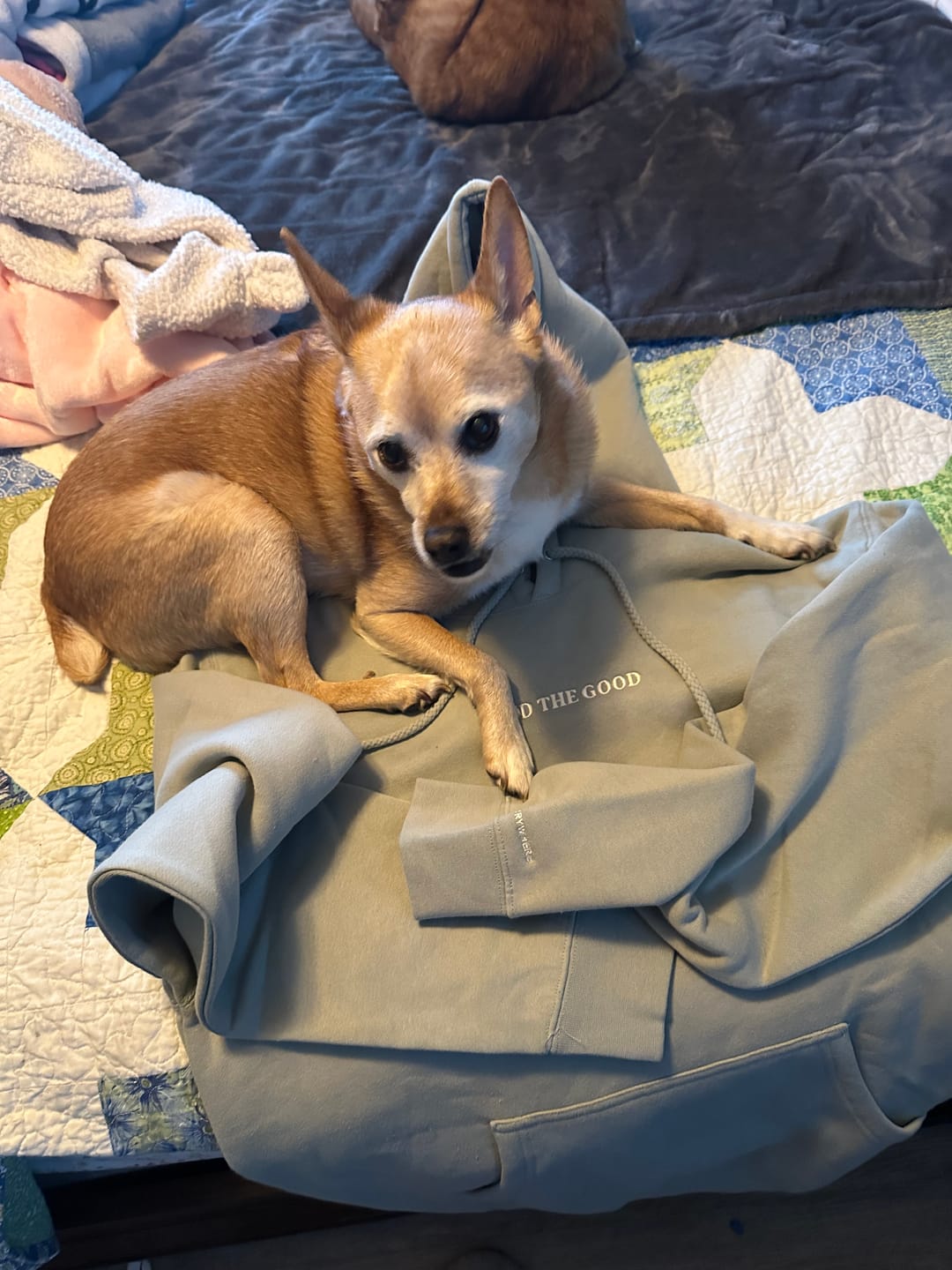 Customer photo review of Premium Good Hood - Season 2 Sage
