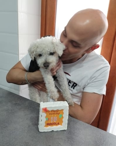 Customer photo review of Torta Per Cani Happy Birthday Personalizzabile Con NOME E ANNI