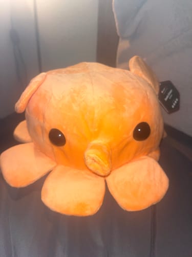 Customer photo review of Fisch - Dumbo Octopus Plushie