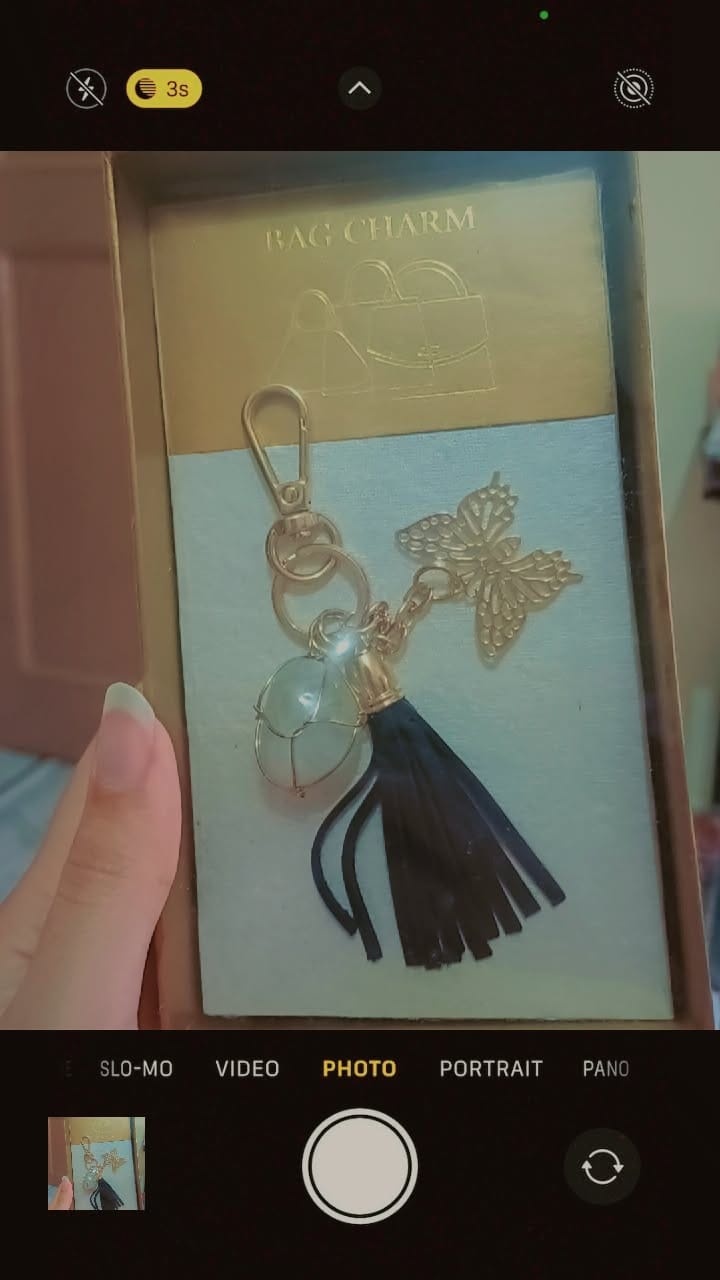 Customer photo review of Veré - Butterfly Bag Charm