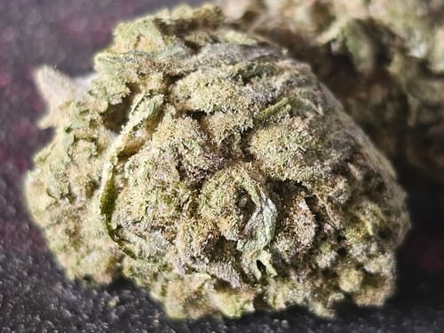 Customer photo review of Pineapple Express THCA Flower