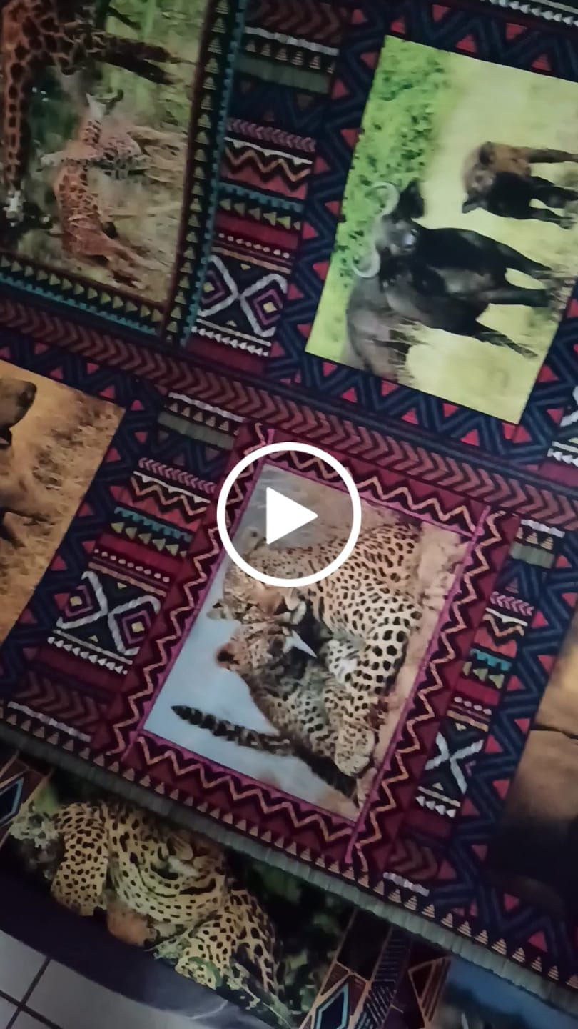 Customer video review of Place Mats South Africa Baby Wild Animals