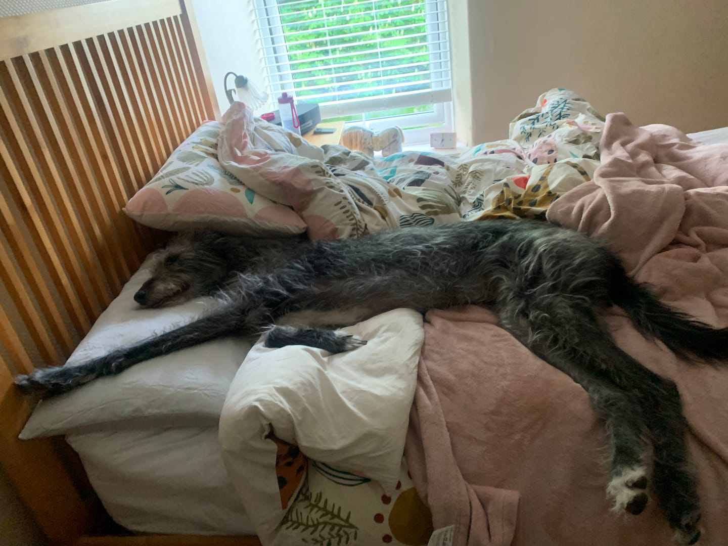 Customer photo review of CloudTopper™ Deep-Fitted Sheet