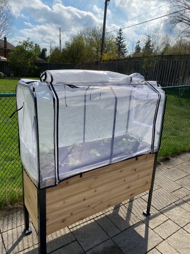 Customer photo review of Greenhouse Cover