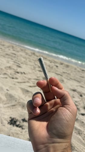 Customer photo review of Pineapple Express Pre-Rolls