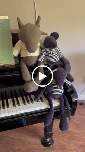 Customer video review of PIOTR, LE LOUP - GRAND - SPÉCIAL PRINTEMPS