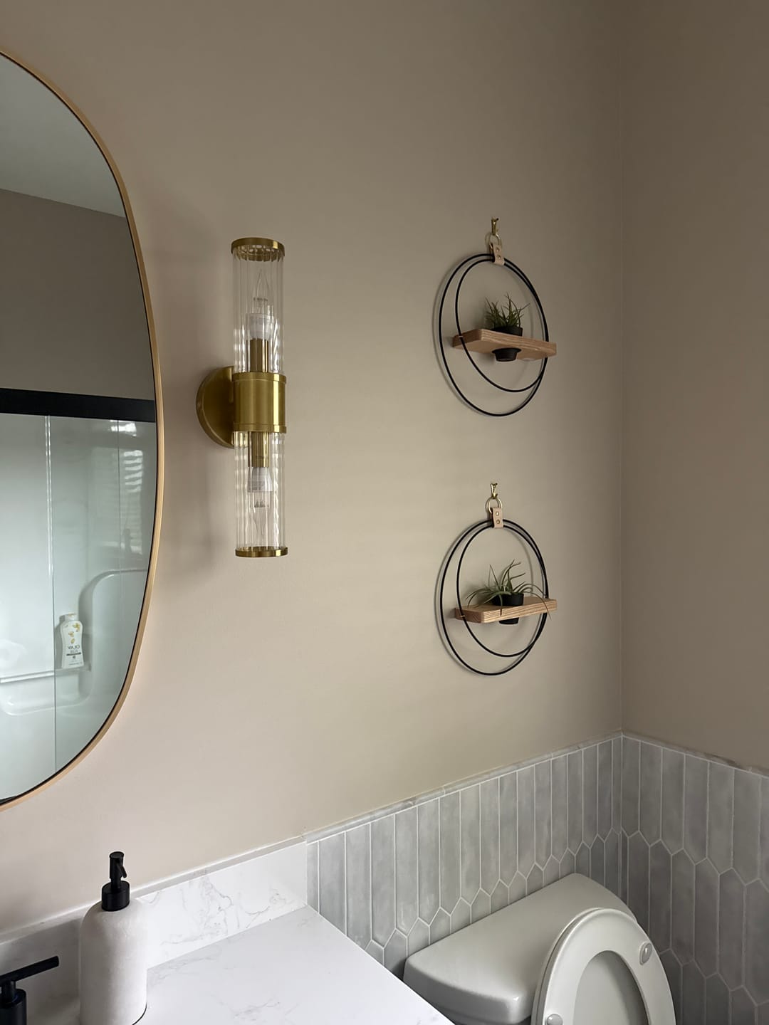 Customer photo review of Air Plant Shelf + Pot Duo