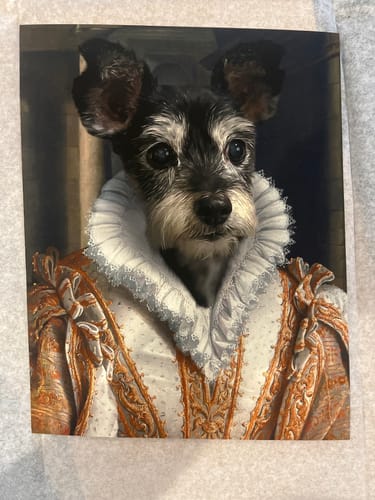 Customer photo review of The Princess - Custom Vintage Pet Portrait