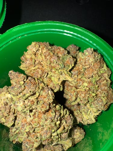 Customer photo review of Blueberry Pancakes THCA Flower