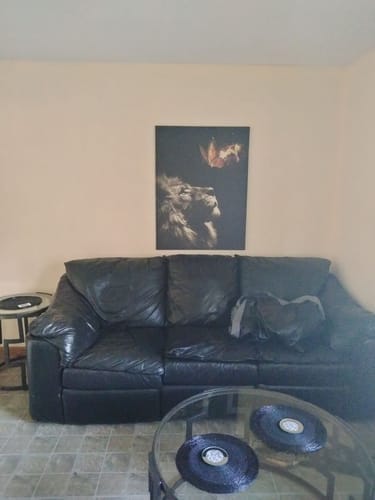 Customer photo review of Lion Burning Butterfly