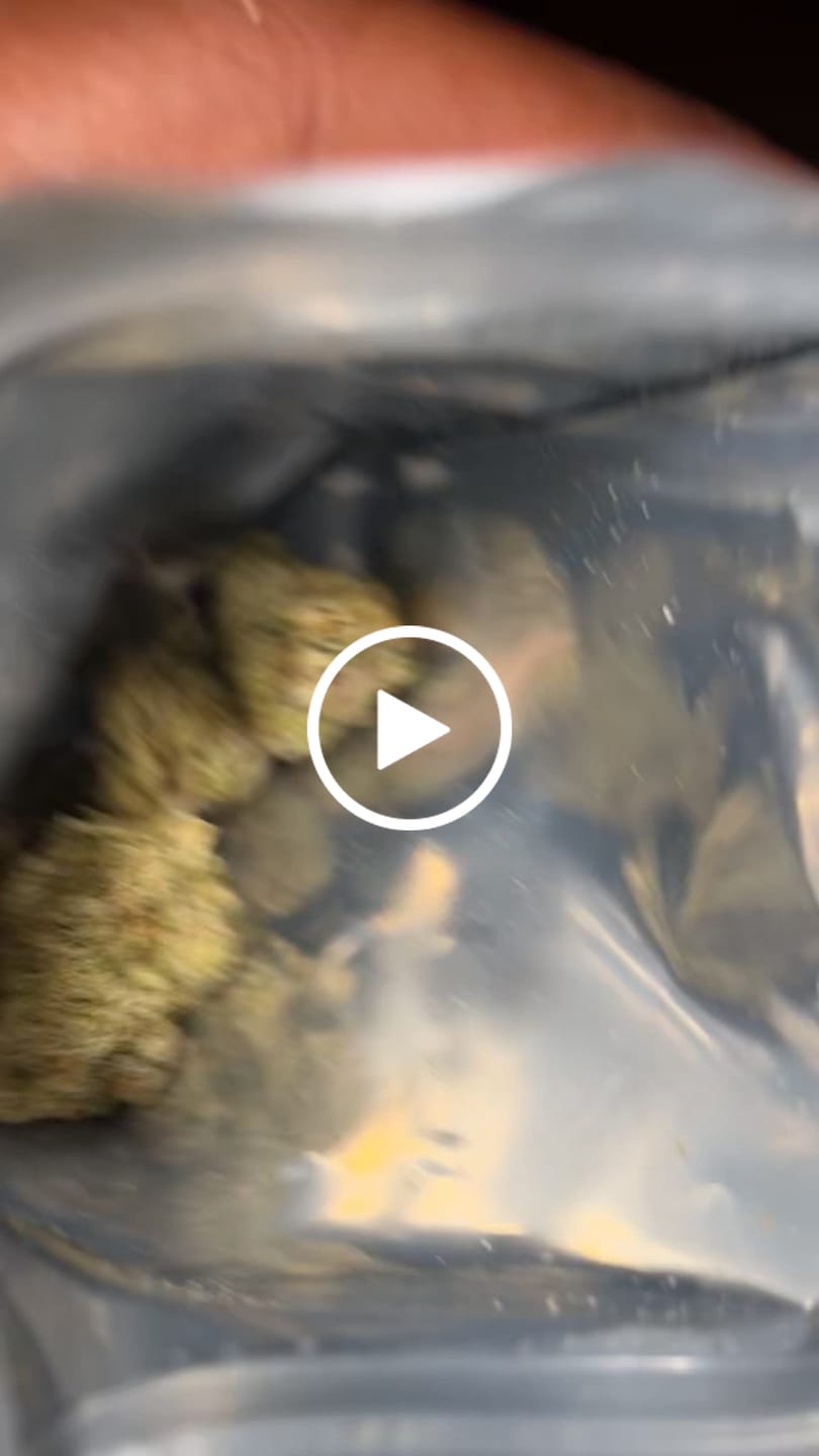 Customer video review of Exotic Smalls