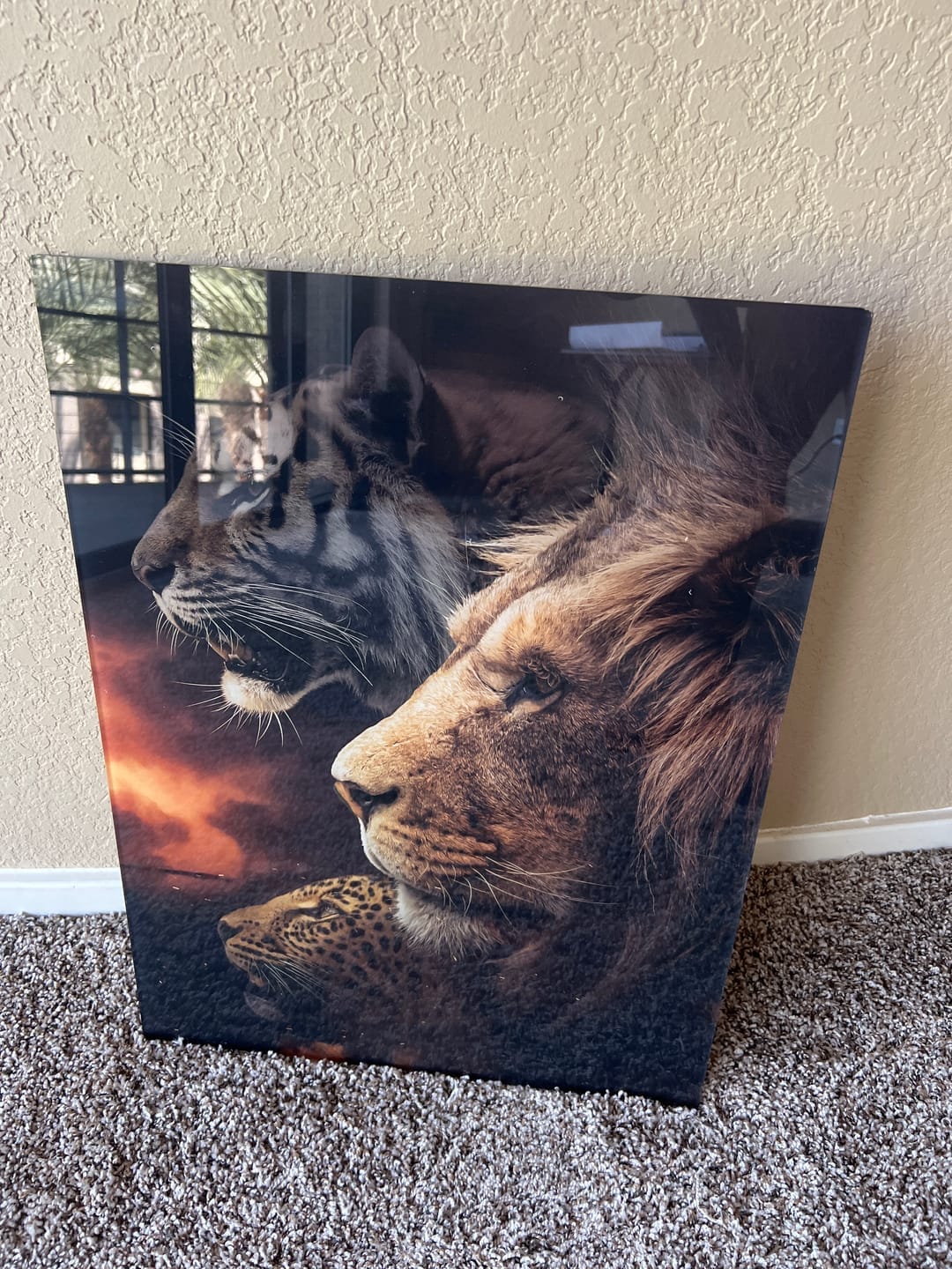 Customer photo review of Three Beasts