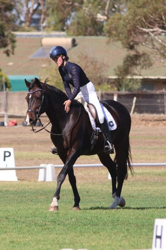 Customer photo review of PSOS Browband Big Deep Sapphire