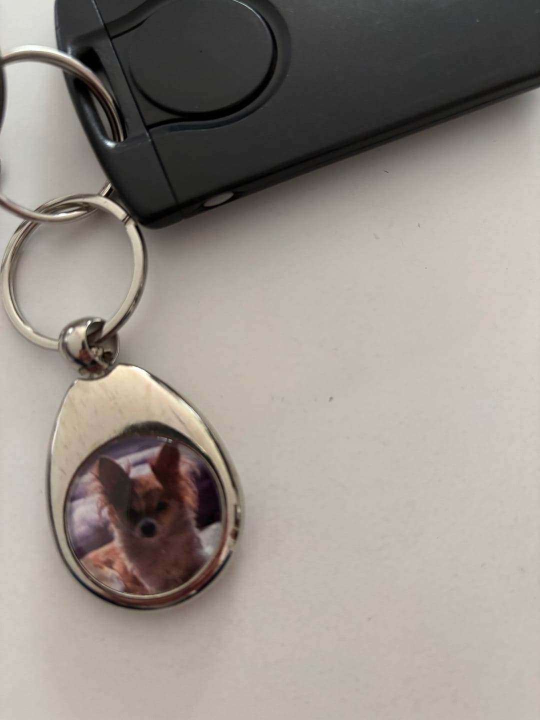 Customer photo review of Schlüsselanhänger mit Hundefoto