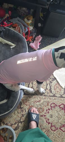 Customer photo review of Sunblock T-Shirt 3 Pack