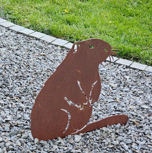 Customer photo review of Gartenstecker Biber