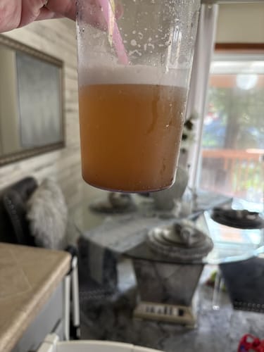 Customer photo review of Yerba Rise - Nature's GLP-1 Superblend