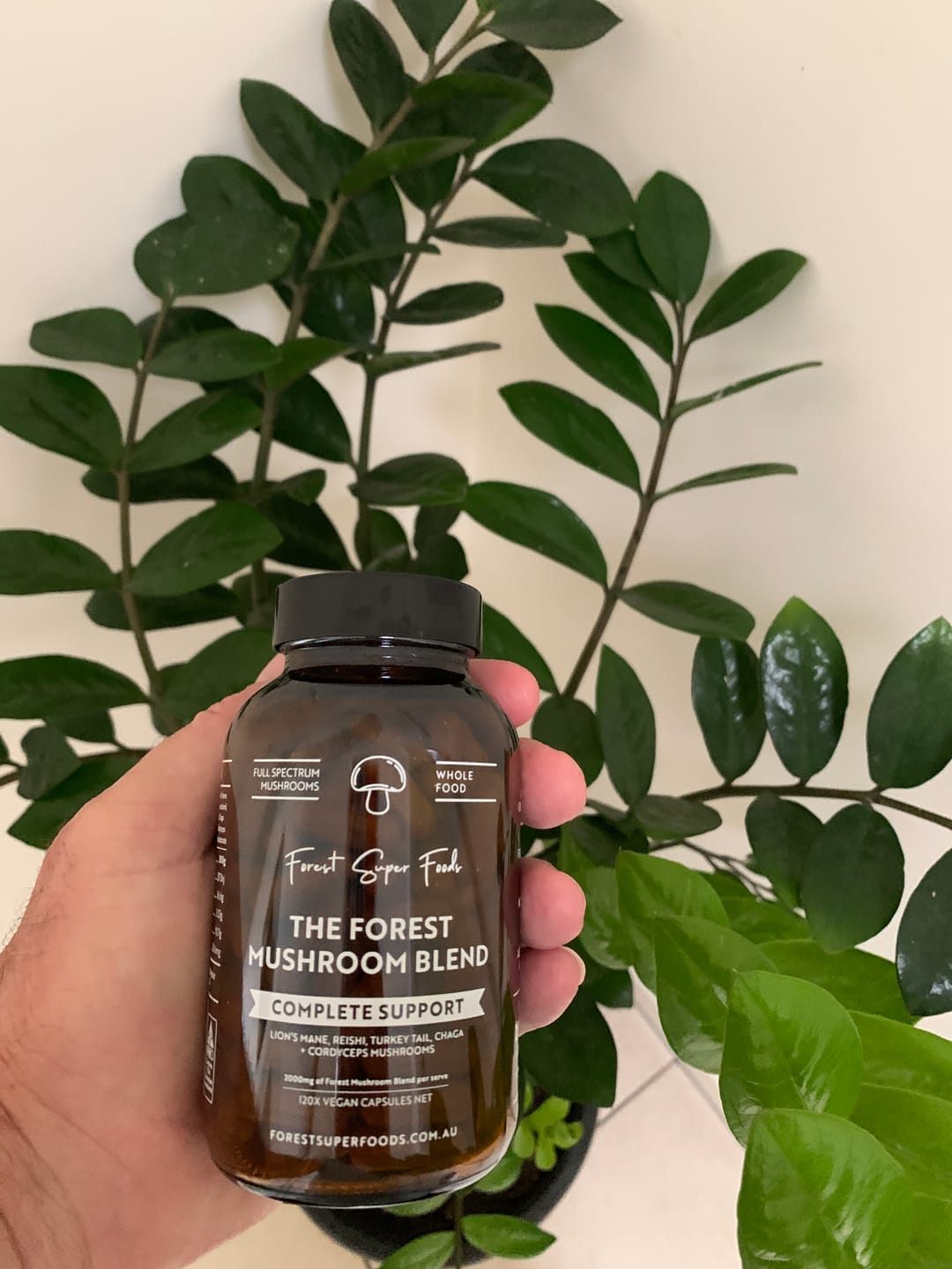 Customer photo review of Mushroom Blend Capsules
