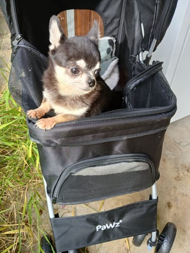 Customer photo review of PaWz 4 Wheels Pet Stroller with Detachable Basket