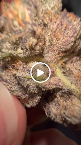 Customer video review of Amaretto Mintz