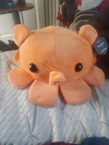 Customer photo review of Fisch - Dumbo Octopus Plushie