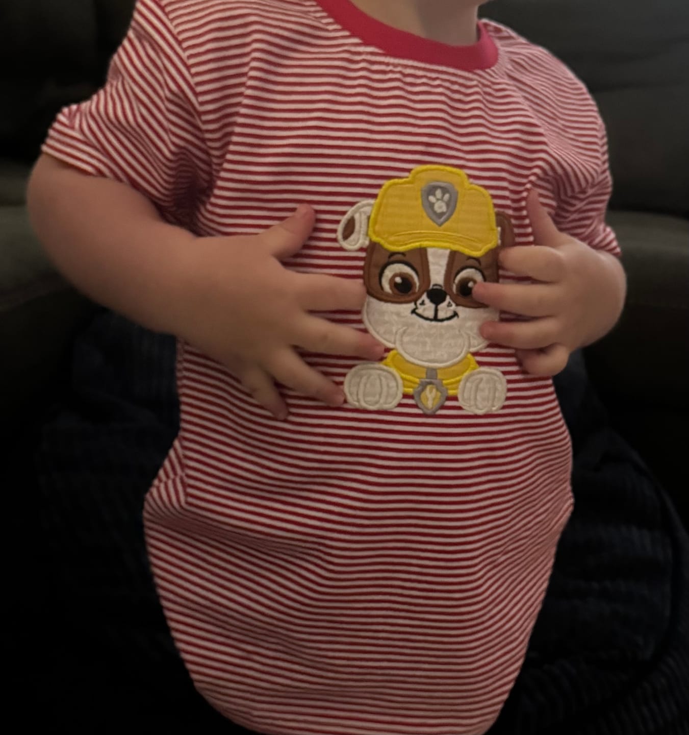 Customer photo review of Unisex Stripe Short Sleeve Shirt