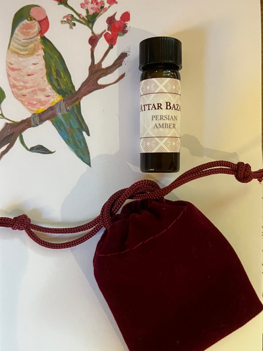 Customer photo review of African Violet