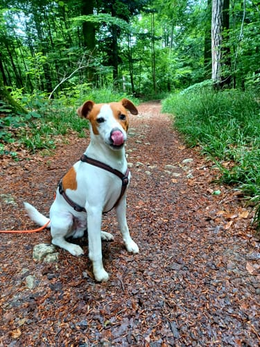 Customer photo review of Shiny Hair