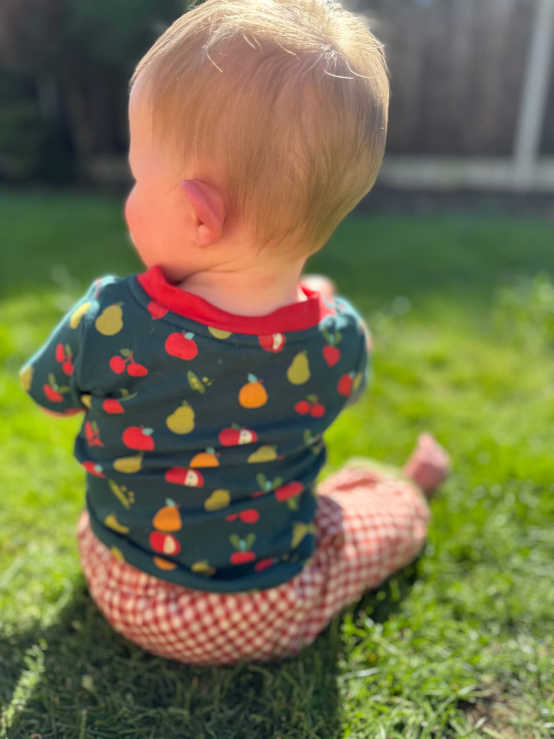 Customer photo review of Little Red Checked Reversible Pull On Trousers